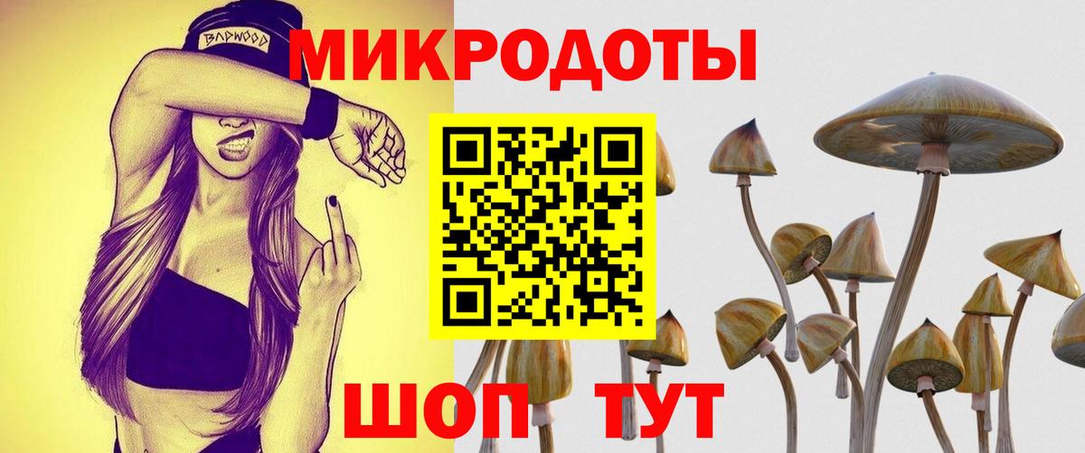 Псилоцибиновые грибы мицелий Будённовск